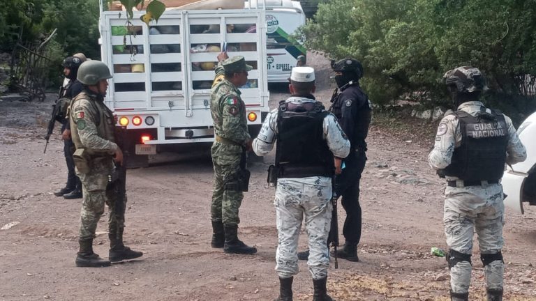 No se las llevaron por la fuerza, salieron por su voluntad: Gobierno