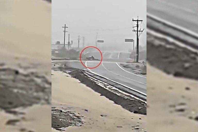 Muere uno, se salvan 4 al cruzar familia arroyo en BCS