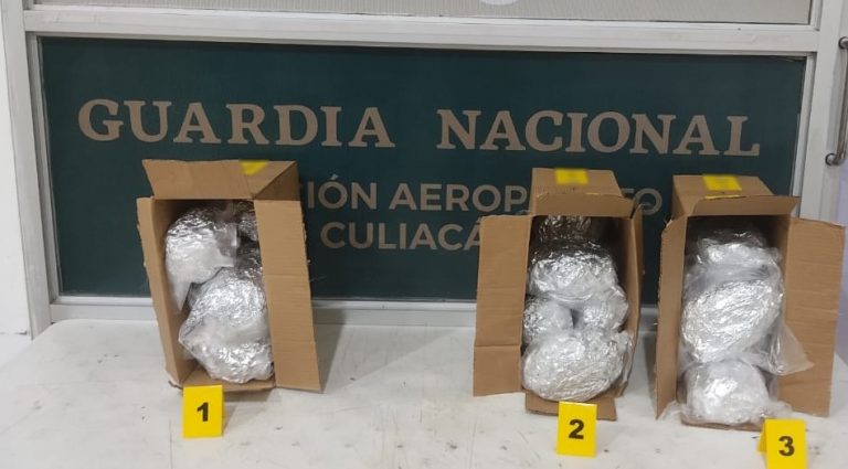 Incautan 18 bolsas de cocaína en paquetería de Culiacán