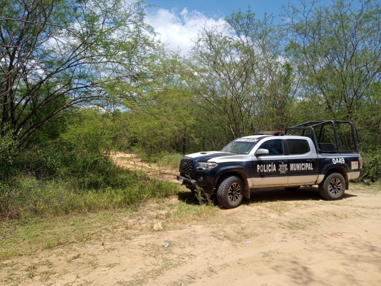 Habría muerto por picadura de abejas desaparecido en Tepuche