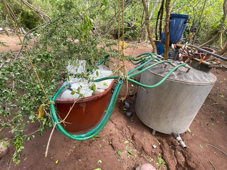 Desmantela Marina tres laboratorios en Tachinolpa, Culiacán
