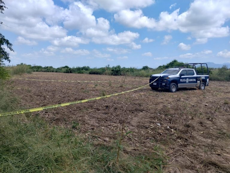 Lo encuentran en medio de una parcela