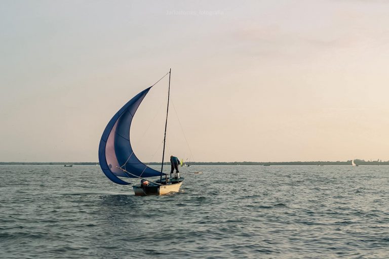 Realizan decomisos en 4 municipios por violar veda pesquera