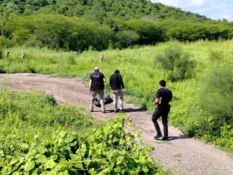 Estaba embolsado y con cinta ‘canela’