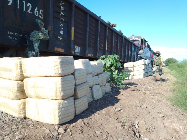 Son 1.5 toneladas de mariguana las decomisadas en Culiacancito