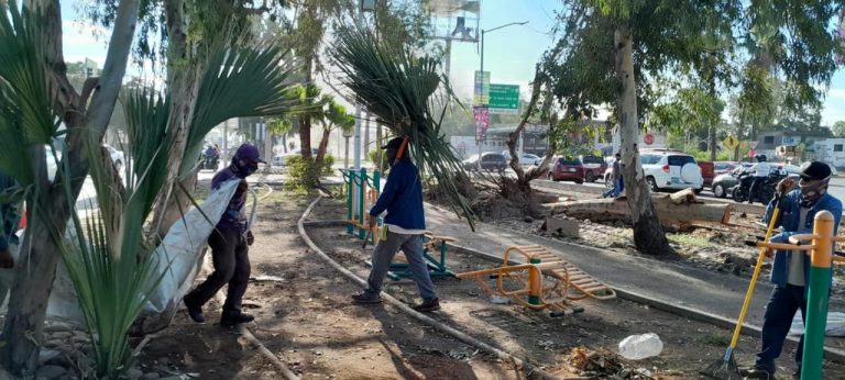 Convoca GVL a limpieza de tres días tras paso de ‘Norma’