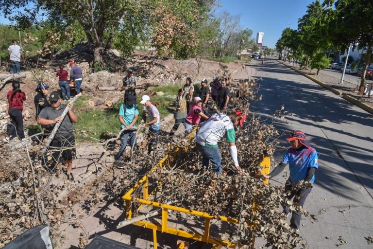 Cumple Ahome sus tres días de limpieza