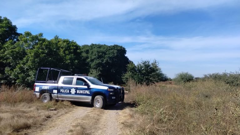 Localizan osamenta humana cerca del Hospital de la Mujer