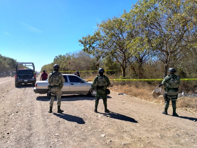 Estaba envuelto en plástico cerca de La Primavera