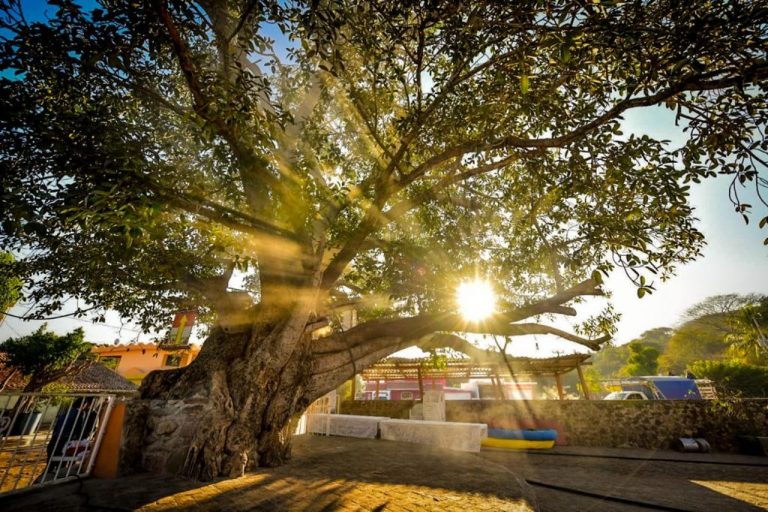 Aumentan el calor y llega a los 36 grados en Sinaloa