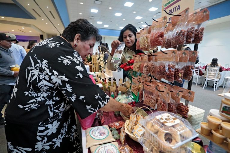 Ocupan mujeres el 30% de Sembrando Vida en Sinaloa