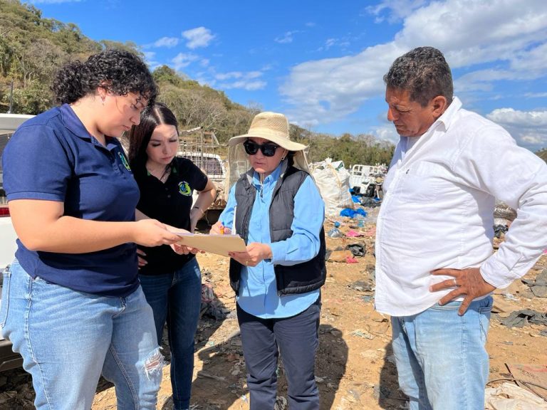 Instalará Mazatlán el primer apiario municipal