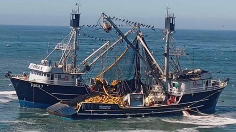 Vuelca barco atunero en Ahome con 10 tripulantes