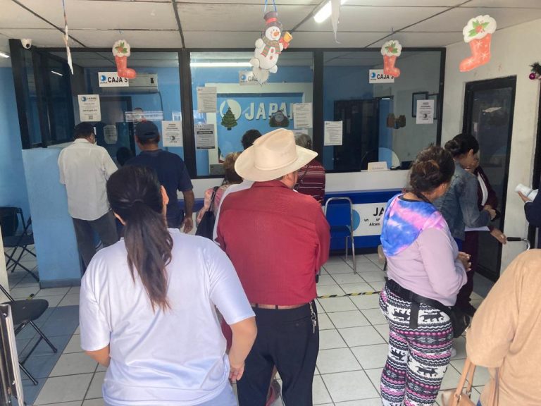 Acuden a Japan por descuentos y actualización de estatus