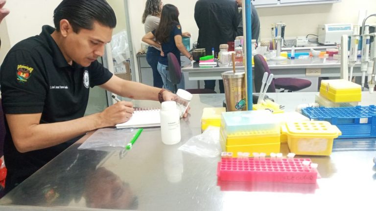 Elaboración guía sobre la fauna de mosquitos en Sinaloa