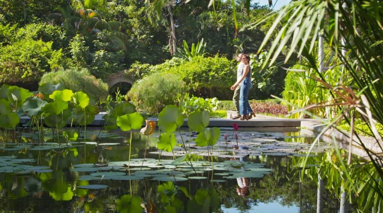 Finaliza la segunda ola de calor