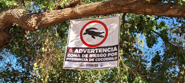 Señaliza Guasave zona de cocodrilos en río Sinaloa
