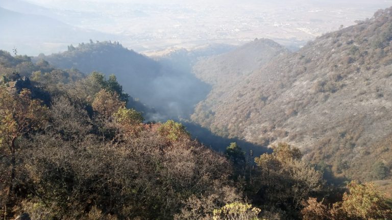 Lo hallan muerto con un golpe en el cráneo
