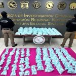 a5f9cb2b-44f8-44ce-8cfa-a23533f18e2e