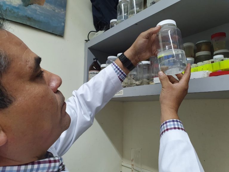 Detecta UAS nueva variedad de moscos transmisores de enfermedades