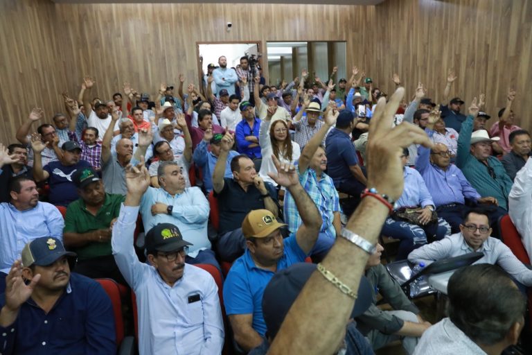 Respaldan bodegueros comercialización del maíz