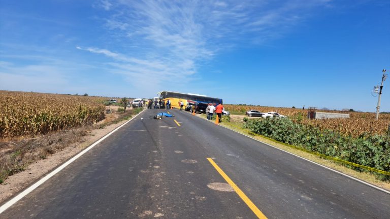 Fallece anciano atropellado en ‘La Palma’, Navolato