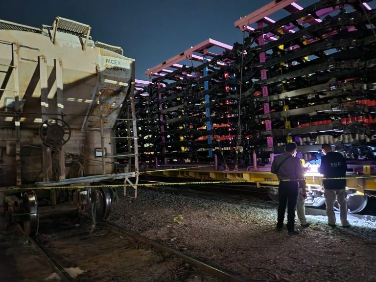 Fallece al caer desde un vagón del tren frente a Palacio de Gobierno