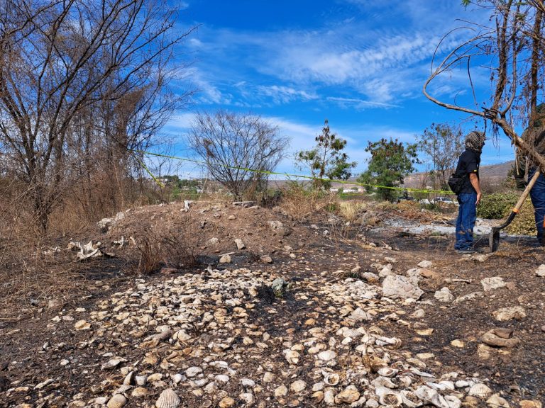 Hallan cadáver cerca de facultad de Veterinaria