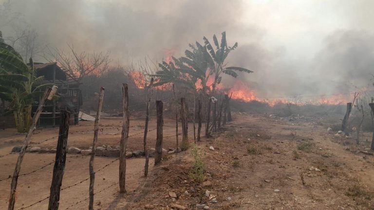 Suman 37 incendios forestales en 12 municipios