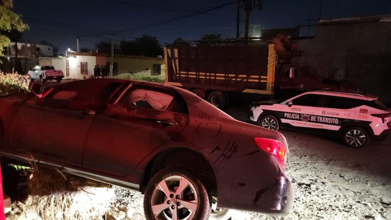 Arrolla auto a joven sentado en una macetera