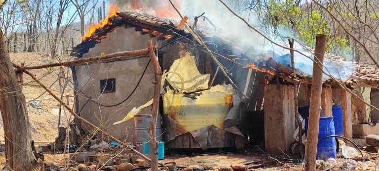 Desmantelan 8 laboratorios clandestinos en Culiacán y Cosalá