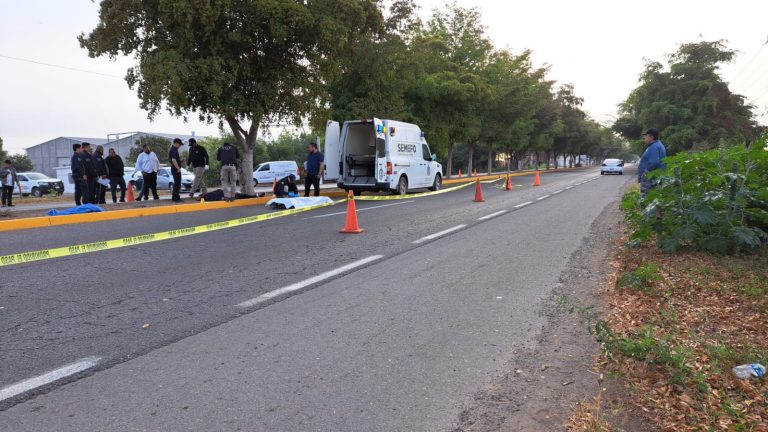 Fallece al chocar contra árbol en Yebavito, Navolato
