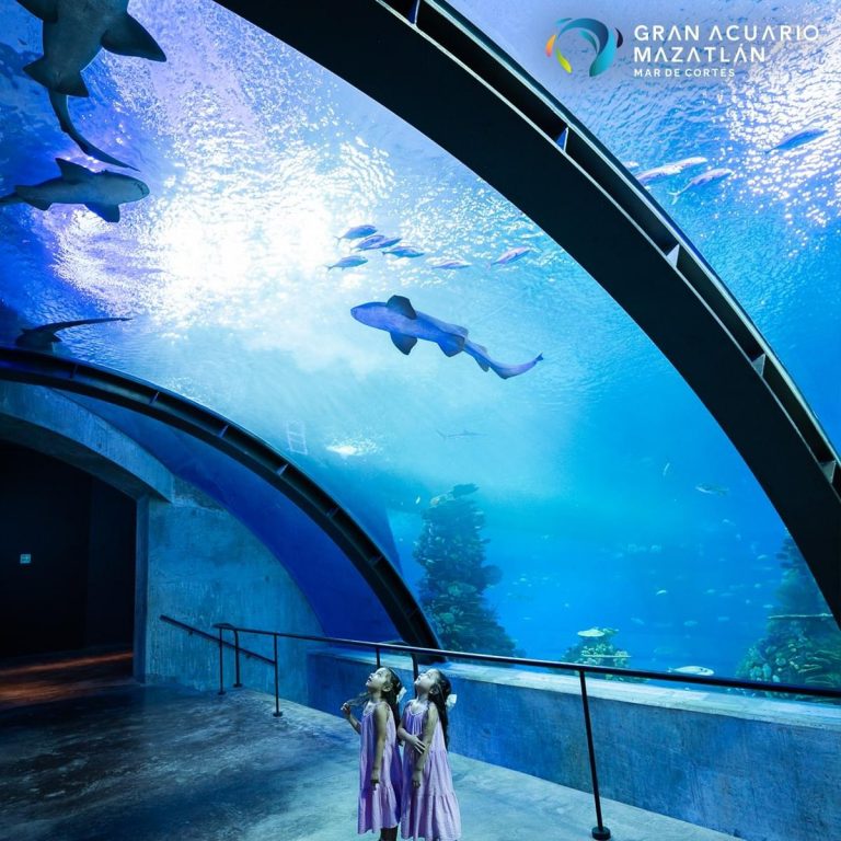 Llega Acuario Mazatlán al millón de visitas