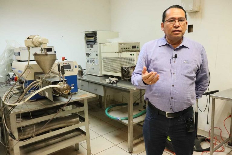 Estudian mejorar la tortilla de maíz utilizando pseudocereales