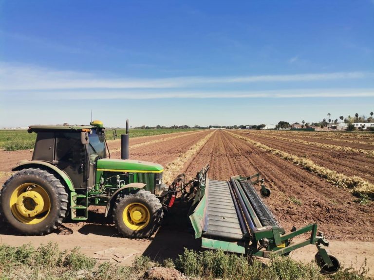 Reabre Segalmex ventanilla de apoyos a maiceros