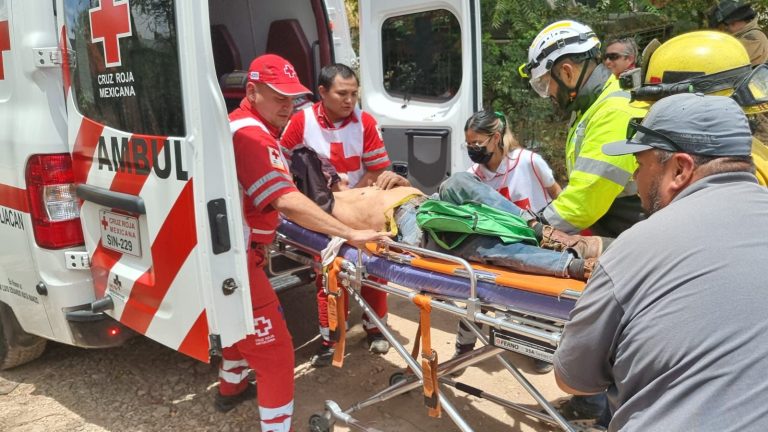 Reportan estable a anciano tras 200 piquetes de abejas