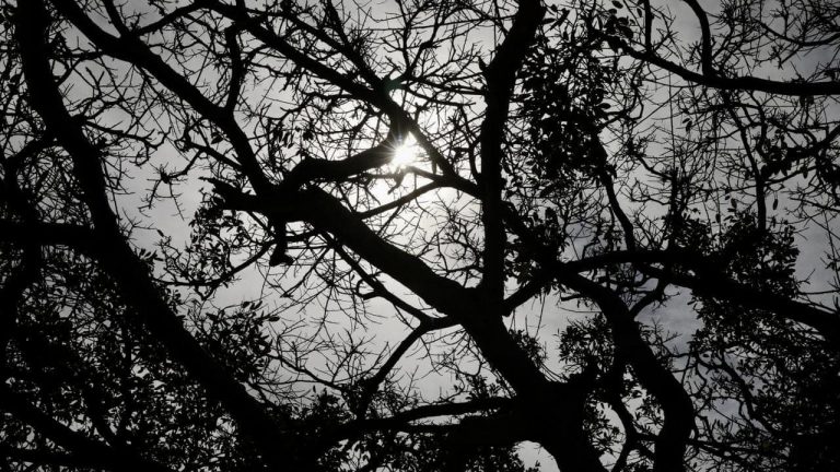 Sigue tendencia de lluvias, pero con calor a 40°C