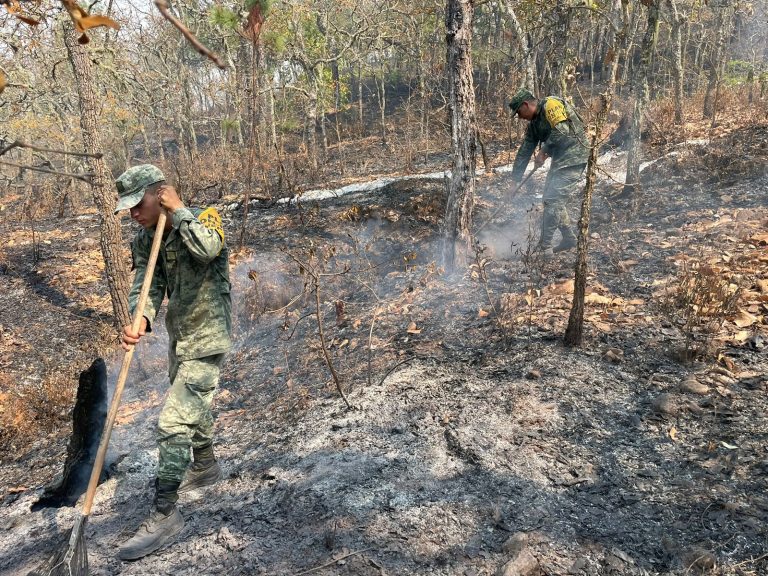 Cuenta Ejército 20 incendios durante abril y mayo