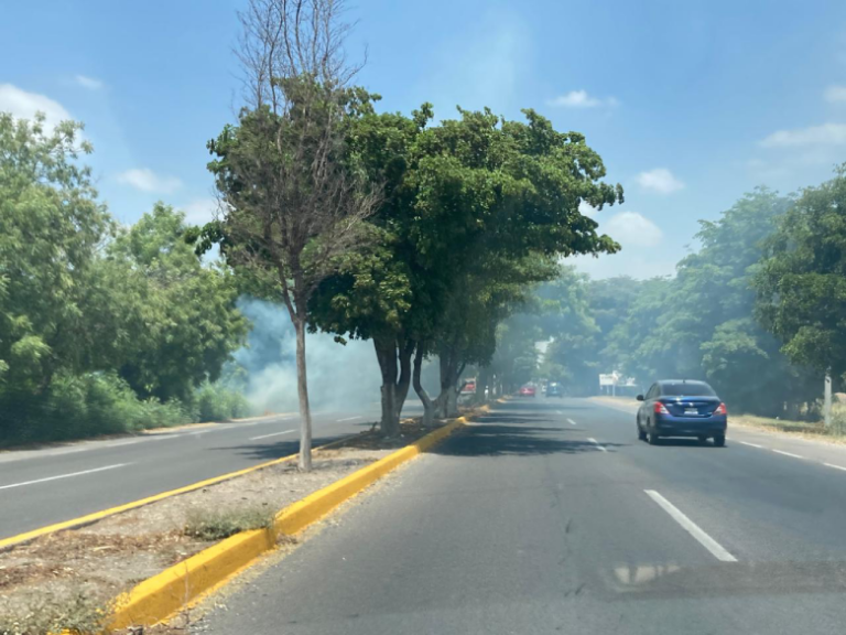 Sofocan lluvias semana de incendios en la Culiacán-Navolato