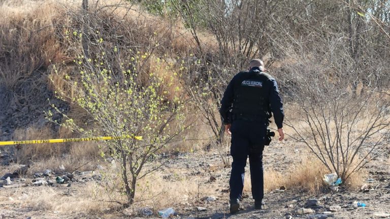 Lo encuentran sobre cobijas en Alturas del Sur