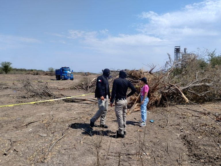 Limpiaba un predio, halla un cadáver en Bachigualato