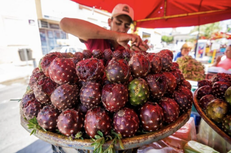 ¿Por qué la pitaya tiene festival?