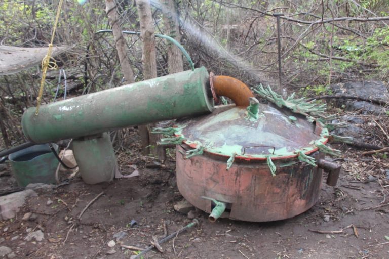 Incautan laboratorio clandestino en Sanalona