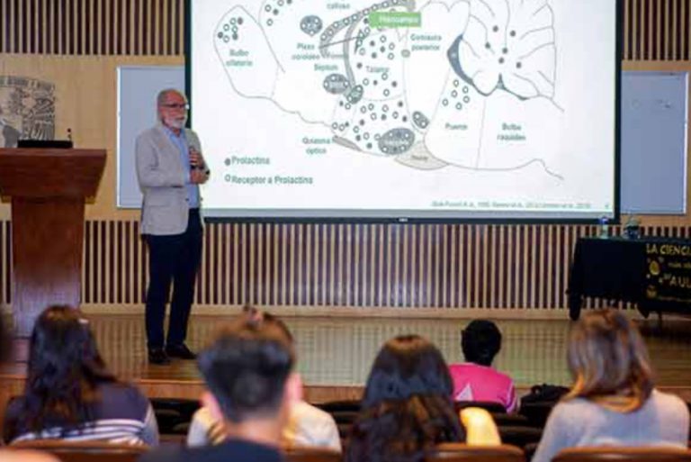 La prolactina también protege al cerebro