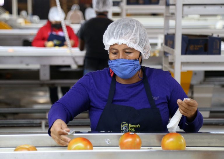 Lidera Sinaloa crecimiento económico en primer trimestre