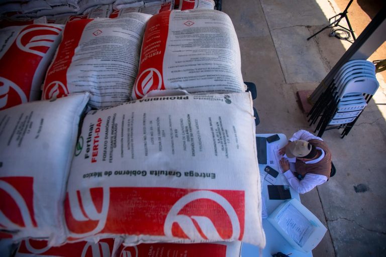 Amplían programa de fertilizantes para garbanzo