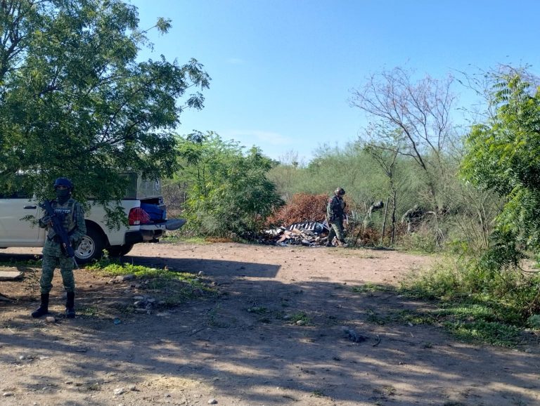 Vieron brazo humano por encima de la tierra