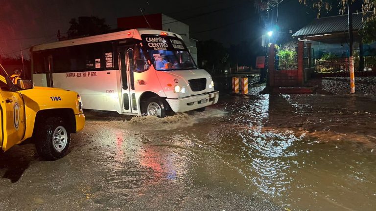Propone estudiante de la UAS ‘jardines de lluvia’ contra inundaciones