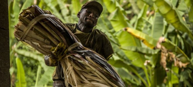 La tasa de desempleo juvenil cae a su nivel más bajo en 15 años