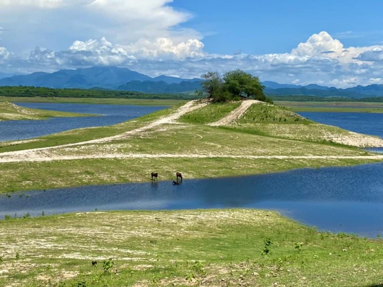 Recobra ‘Narnia’ (Imala) vida con lluvias copiosas